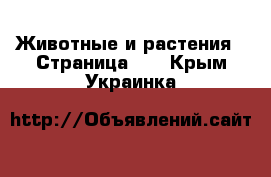  Животные и растения - Страница 11 . Крым,Украинка